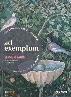 Copertina 9788805074877 Nuovo