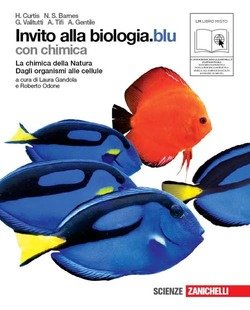 Copertina 9788808059031 Usato