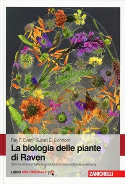 Copertina 9788808175045 Nuovo