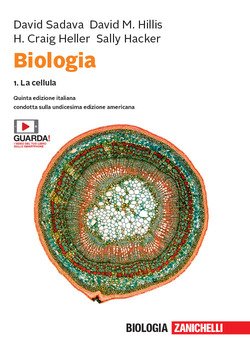 Copertina 9788808338594 Nuovo