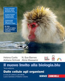 Copertina 9788808399885 Nuovo