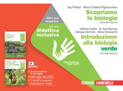Copertina 9788808488695 Nuovo