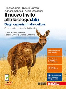 Copertina 9788808720979 Nuovo