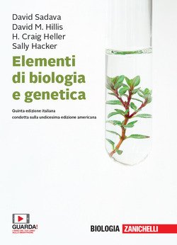 Copertina 9788808820655 Nuovo