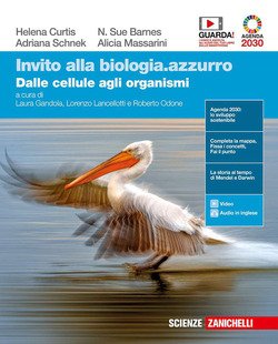 Copertina 9788808949523 Nuovo