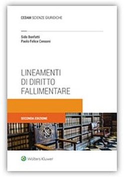Copertina 9788813363123 Nuovo