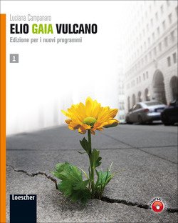 Copertina 9788820134525 Nuovo