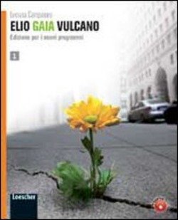 Copertina 9788820135348 Nuovo