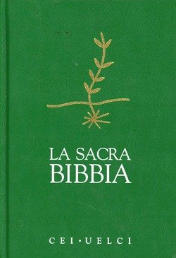 Copertina 9788820917449 Nuovo
