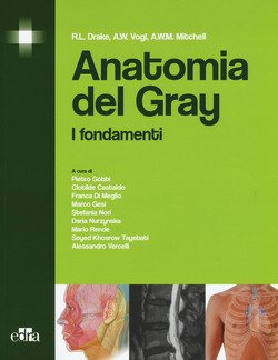 Copertina 9788821437526 Usato
