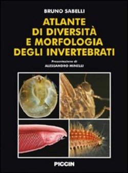 Copertina 9788829920006 Nuovo