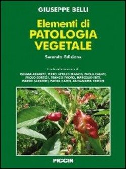 Copertina 9788829921294 Nuovo
