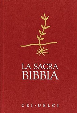 Copertina 9788831535342 Nuovo