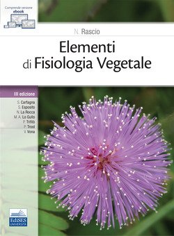 Copertina 9788836230426 Nuovo