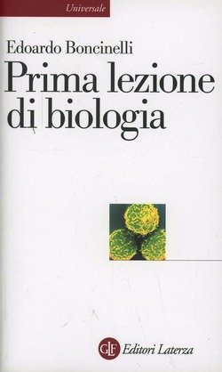 Copertina 9788842064350 Usato
