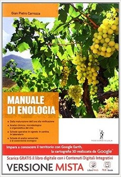 Copertina 9788848258791 Nuovo