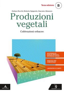 Copertina 9788848265058 Nuovo