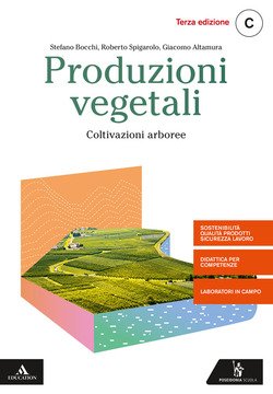 Copertina 9788848265102 Nuovo