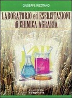Copertina 9788850639960 Nuovo