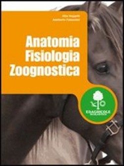 Copertina 9788852900693 Nuovo