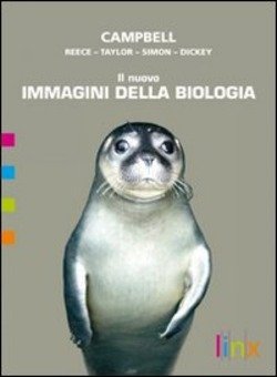 Copertina 9788863640496 Nuovo