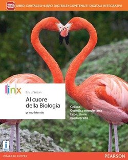 Copertina 9788863647754 Nuovo