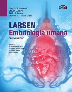 Copertina 9788821454592 Nuovo