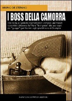 Copertina 9788854108974 Nuovo