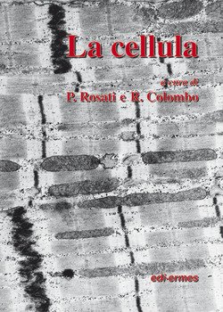 Copertina 9788870512175 Nuovo