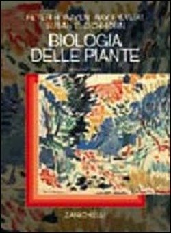 Copertina 9788808091475 Usato