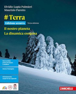 Copertina 9788808912473 Usato