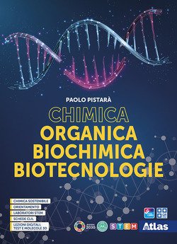 Copertina 9788826825205 Usato