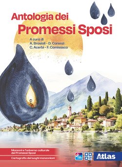 Copertina 9788826825281 Usato