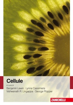 Copertina 9788808066534 Nuovo
