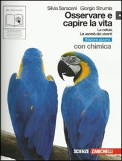Copertina 9788808134677 Usato