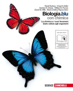 Copertina 9788808224491 Usato