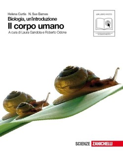 Copertina 9788808314062 Nuovo