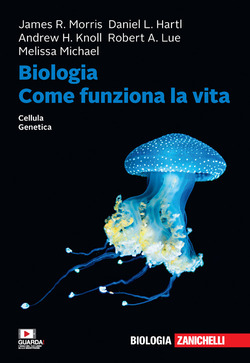 Copertina 9788808356291 Usato