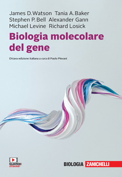 Copertina 9788808520166 Usato