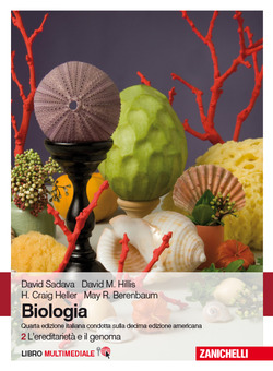 Copertina 9788808735201 Nuovo