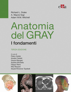 Copertina 9788821458286 Usato