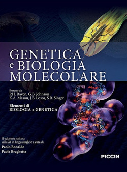 Copertina 9788829929528 Usato