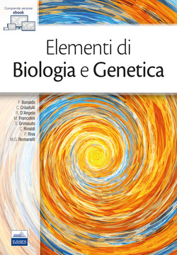 Copertina 9788833190389 Usato