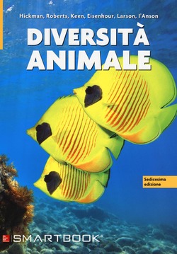 Copertina 9788838615405 Nuovo