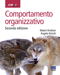 Copertina 9788838786402 Usato