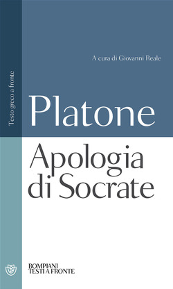 Copertina 9788845290244 Nuovo