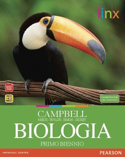 Copertina 9788863641202 Usato