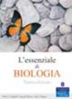 Copertina 9788871923994 Usato