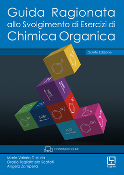 Copertina 9788895122519 Usato
