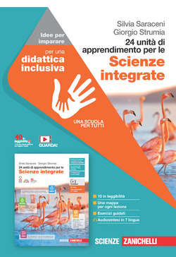 Copertina 9788808291059 Usato